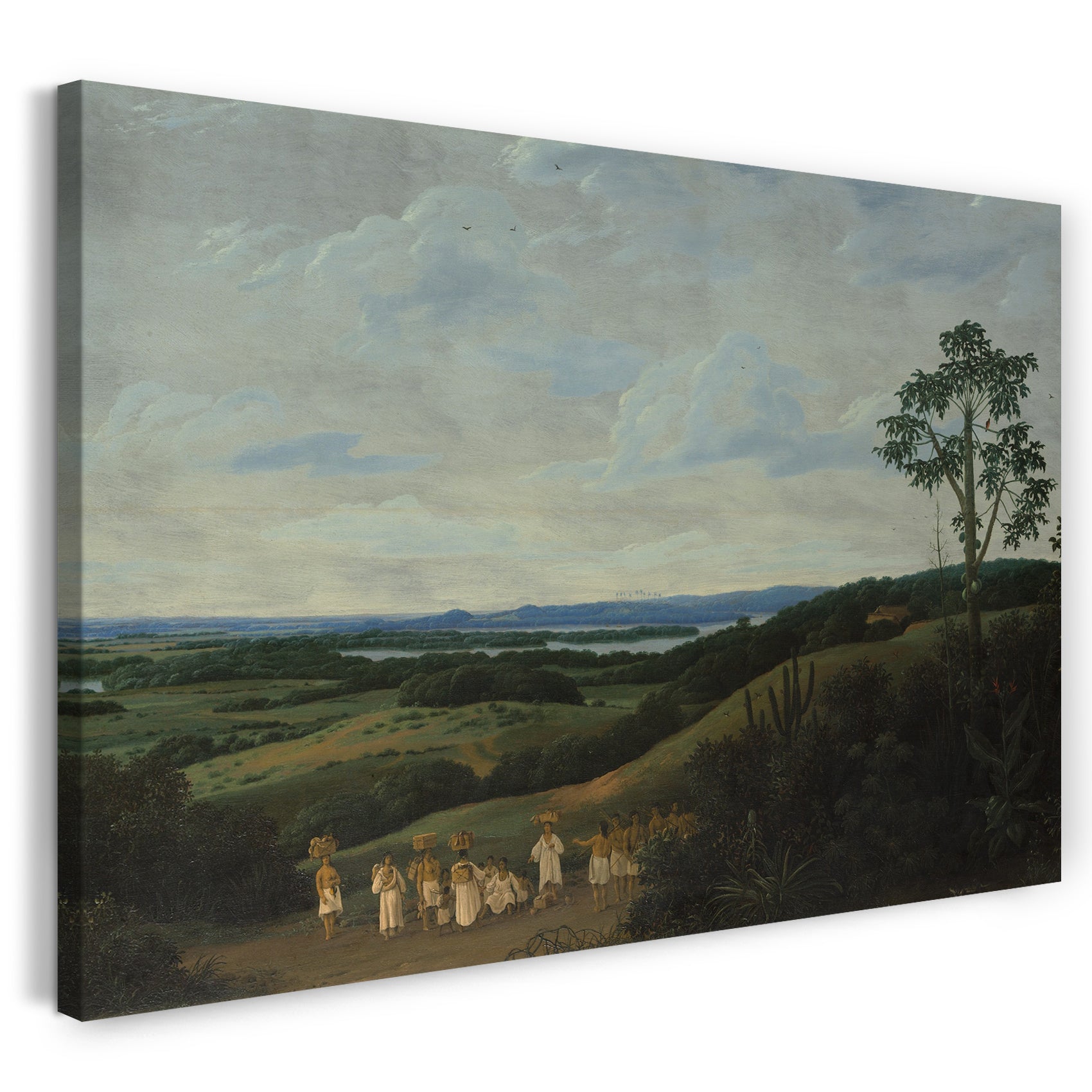Leinwandbild Frans Post - Eine brasilianische Landschaft