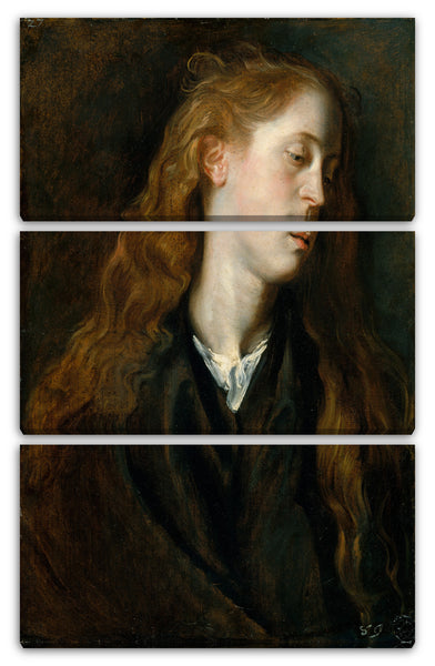 Leinwandbild Anthony van Dyck - Studie Sie den Kopf einer jungen Frau