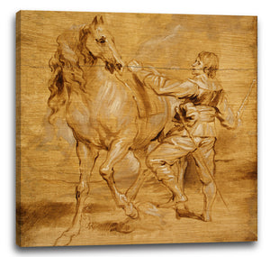 Leinwandbild Anthony van Dyck zugeschrieben - Ein Mann, der ein Pferd anbringt