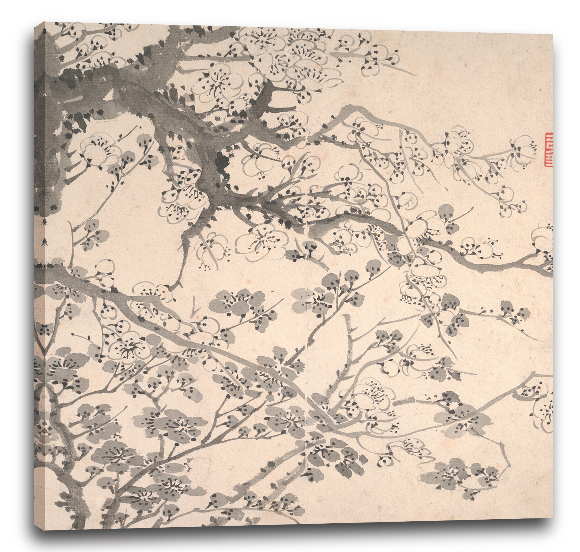 Leinwandbild Jin Nong - Pflaumenblüten