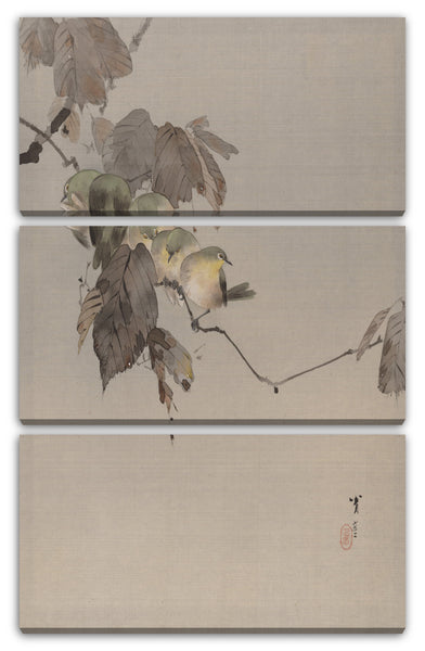 Leinwandbild Watanabe Seite - Vögel auf einer Niederlassung