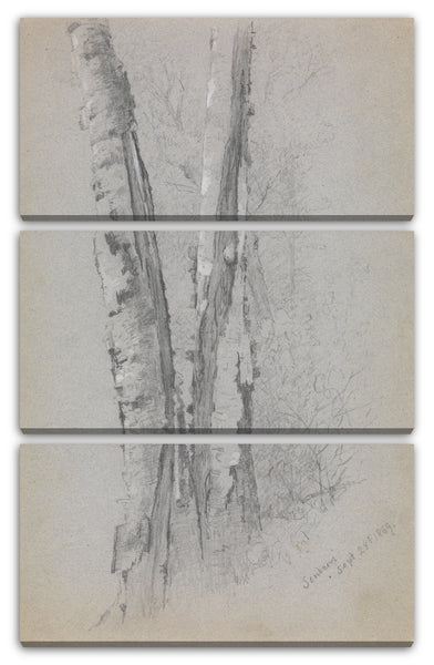 Leinwandbild Jervis McEntee - Studie von einem Birkenstamm