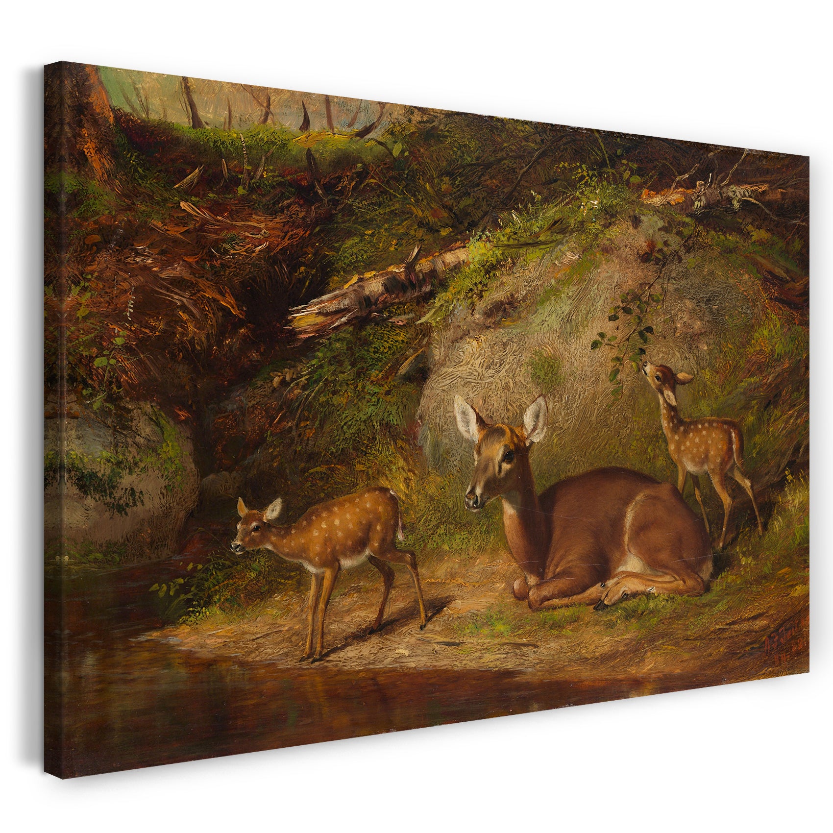 Leinwandbild Arthur Fitzwilliam Tait - Doe und zwei Kitze