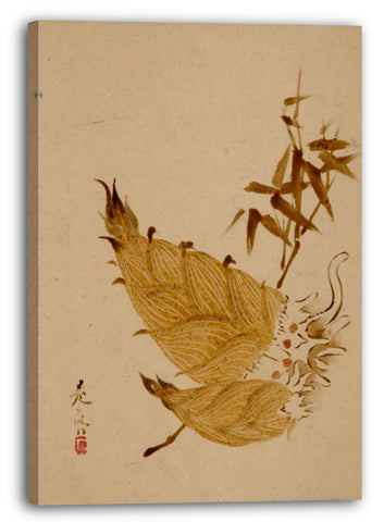 Leinwandbild Shibata Zeshin - Bambussprossen