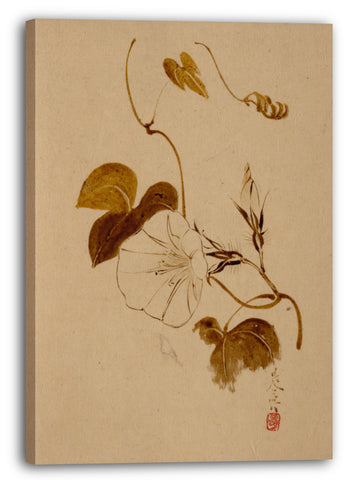 Leinwandbild Shibata Zeshin - Trichterwinde