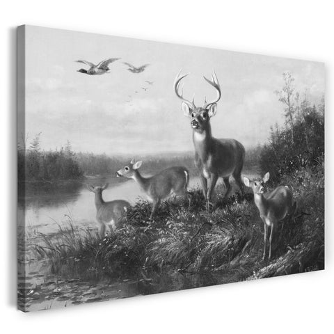 Leinwandbild Arthur Fitzwilliam Tait - Auf der Qui Vive, Bock und drei Rehe