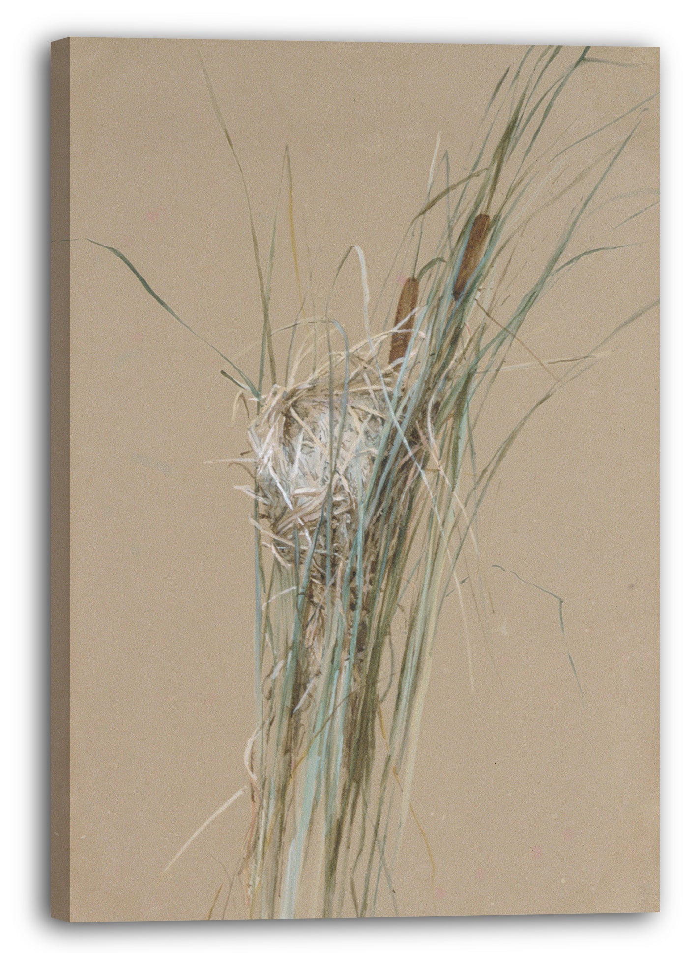 Leinwandbild Fidelia Brücken - Vogelnest in Cattails