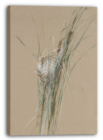 Leinwandbild Fidelia Brücken - Vogelnest in Cattails