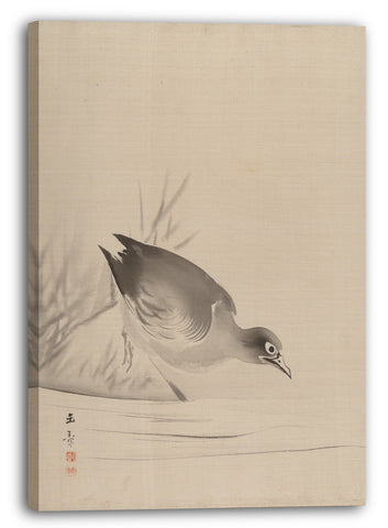 Leinwandbild Kawabata Gyokushō - Vogel am Wasserrand
