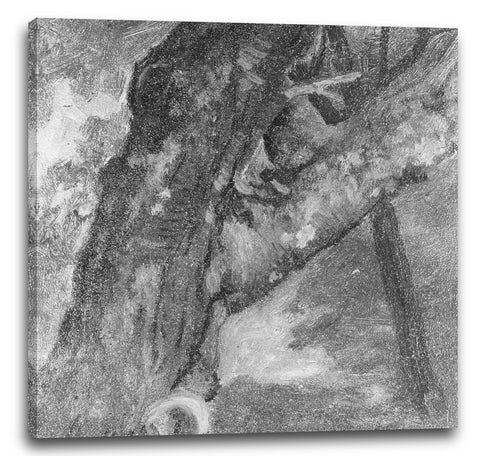 Leinwandbild Albert Bierstadt - Studie eines Baumes