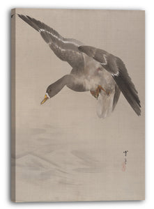 Leinwandbild Watanabe Seite - Ente