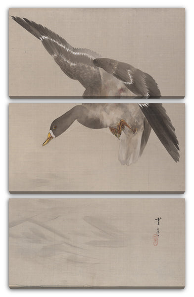 Leinwandbild Watanabe Seite - Ente