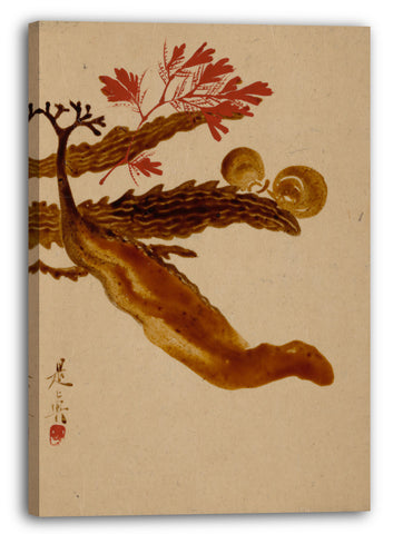 Leinwandbild Shibata Zeshin - Seetang