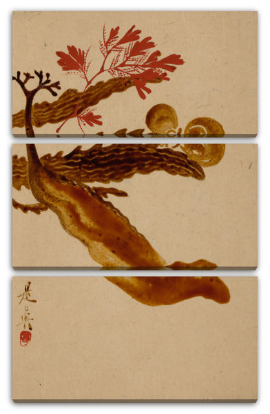 Leinwandbild Shibata Zeshin - Seetang