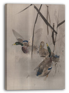Leinwandbild Watanabe Seite - Enten in den Rushes