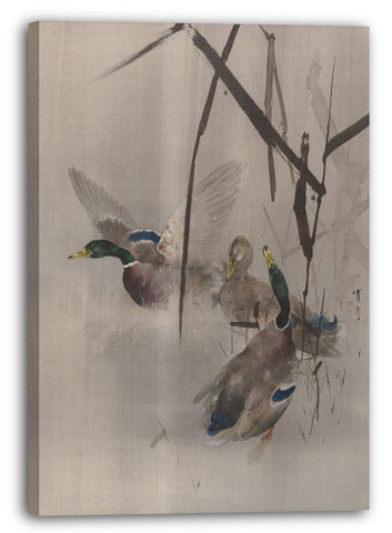 Leinwandbild Watanabe Seite - Enten in den Rushes