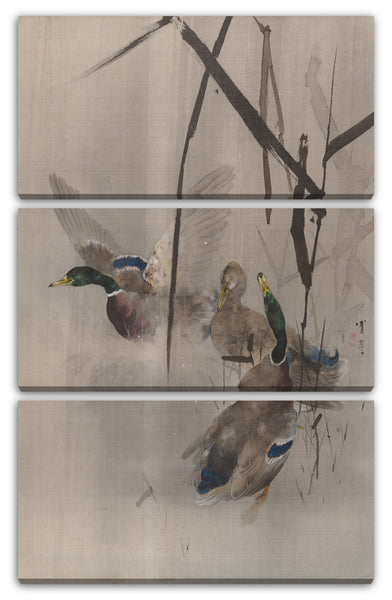 Leinwandbild Watanabe Seite - Enten in den Rushes