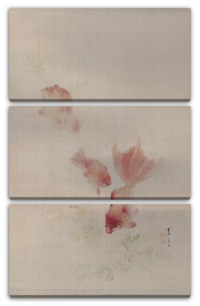 Leinwandbild Watanabe Seite - Goldfisch