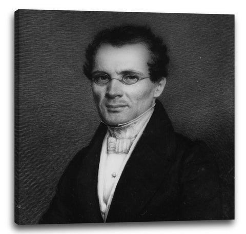Leinwandbild Alvan Clark - Dr. Samuel A. Bemis