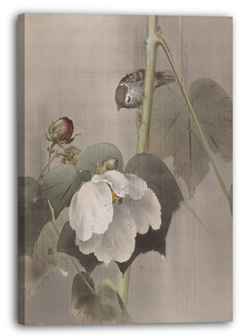 Leinwandbild Okada Baison - Rosen im Regen
