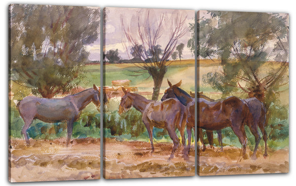 Leinwandbild John Singer Sargent - Maultiere