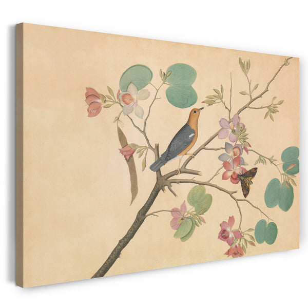 Leinwandbild Shaikh Zain al-Din - Eine Orange-Headed Ground Thrush und eine Death's-Head Moth auf einem Purple Ebony Orchid Branch