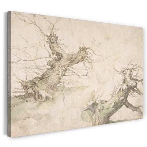 Leinwandbild Abraham Bloemaert - Studien von zwei Pollard Willows; Verso: Weite Landschaft Aussicht
