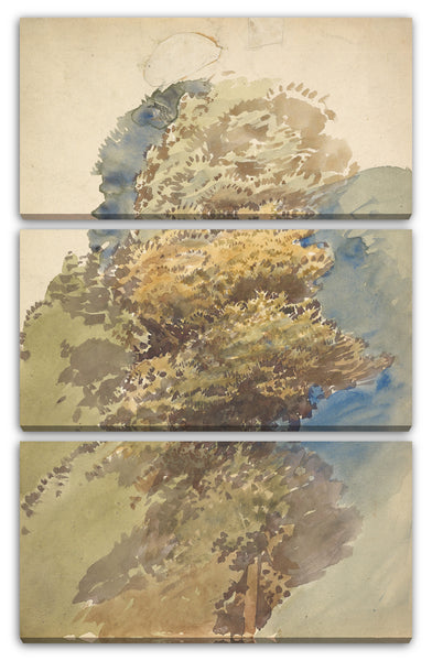 Leinwandbild George Richmond - Studie eines Baumes