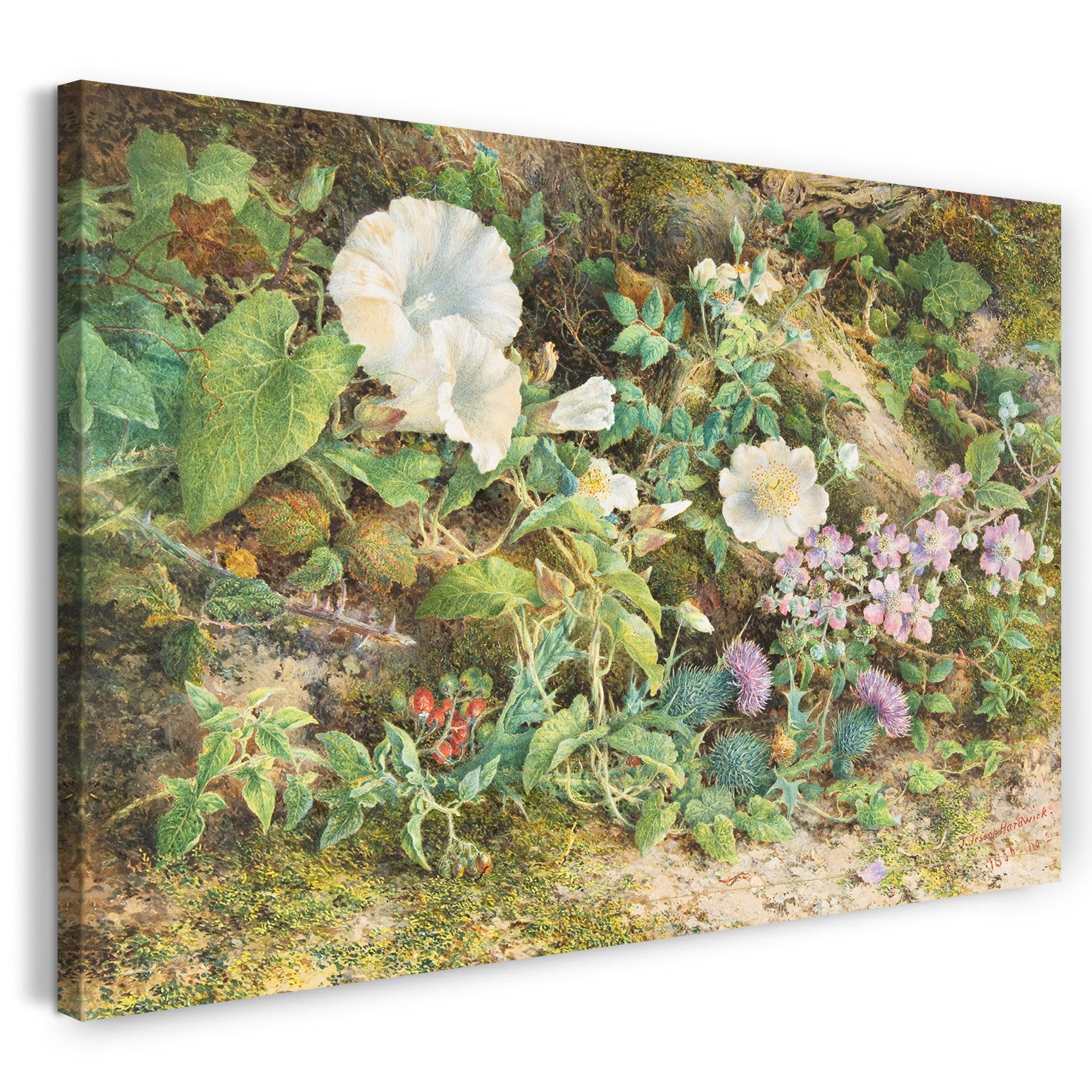 Leinwandbild John Jessop Hardwick - Blumen-Studie