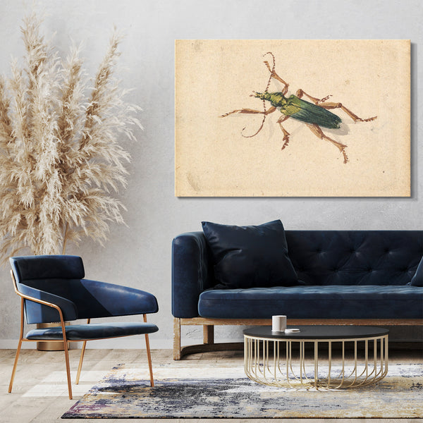 Leinwandbild Jan Vincenz van der Vinne - Grüner Käfer mit braunen Beinen