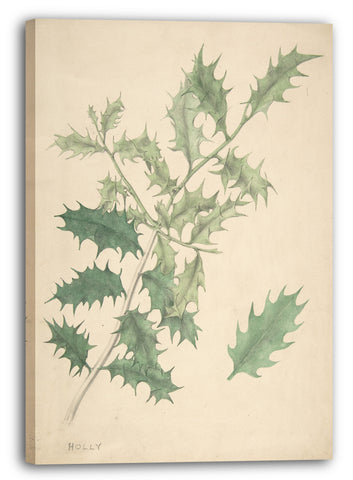 Leinwandbild Anonym, Britisch, 19. Jahrhundert - Holly Blätter