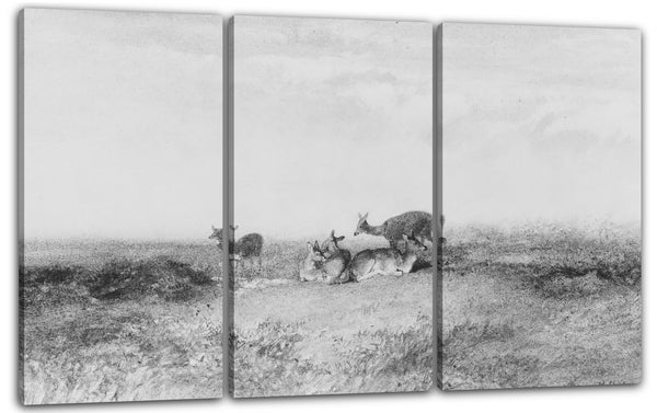 Leinwandbild Karl Bodmer - Hirsch in einer Landschaft