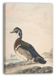 Leinwandbild Aert Schoumann - Eine Ente
