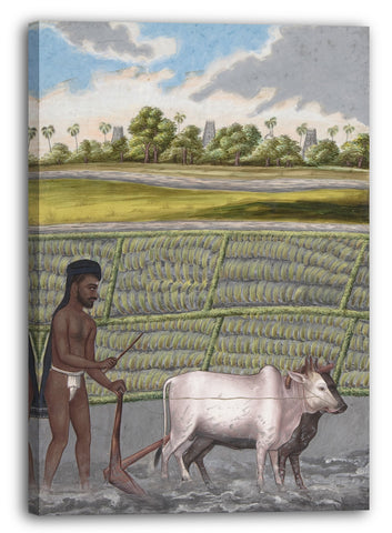 Leinwandbild Anonym, Inder, 19. Jahrhundert - Plower in Pulla Caste, from Indian Trades and Castes