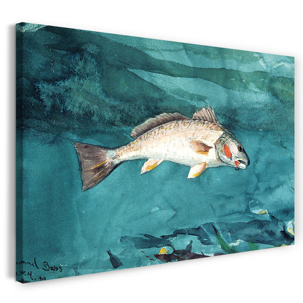 Leinwandbild Winslow Homer - Kanal Bass