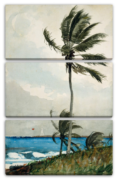 Leinwandbild Winslow Homer - Palme, Nassau