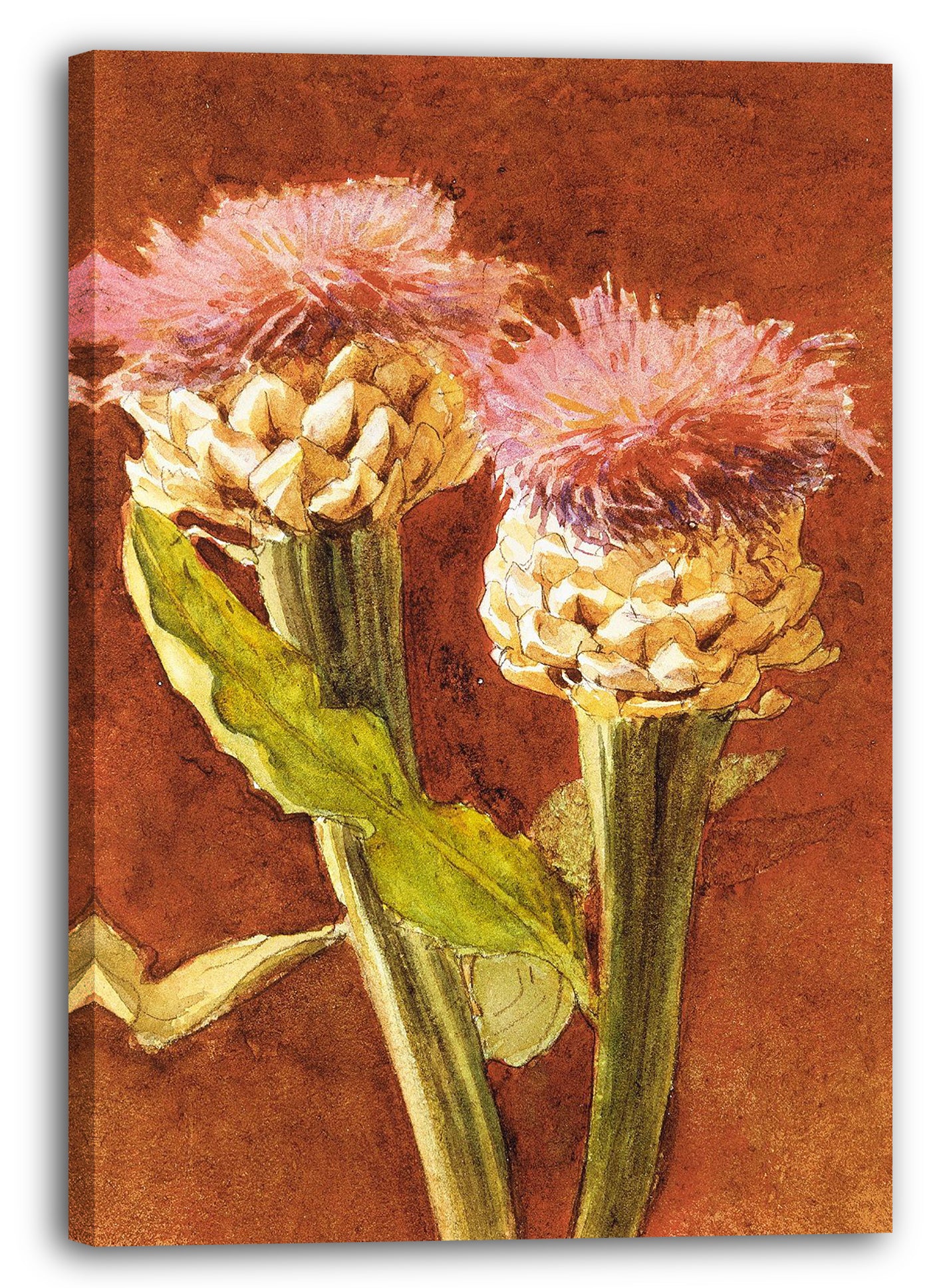 Leinwandbild John Singer Sargent - Distel