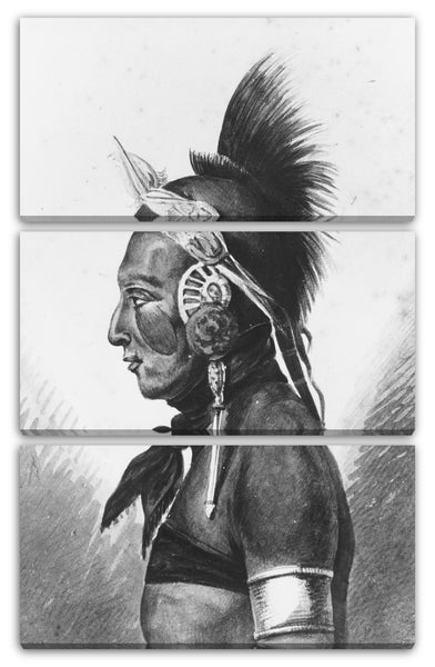 Leinwandbild Pavel Petrowitsch Svinin - Ein Osage-Krieger