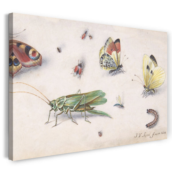 Leinwandbild Jan van Kessel - Insekten, Schmetterlinge und eine Heuschrecke