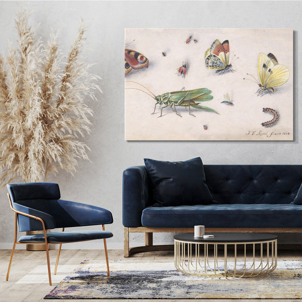 Leinwandbild Jan van Kessel - Insekten, Schmetterlinge und eine Heuschrecke