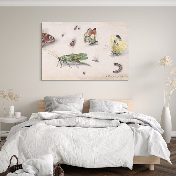 Leinwandbild Jan van Kessel - Insekten, Schmetterlinge und eine Heuschrecke