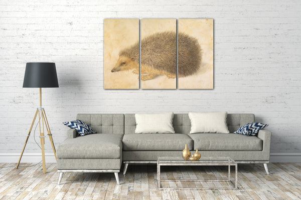 Leinwandbild Hans Hoffmann - Ein Igel (Erinaceus roumanicus)