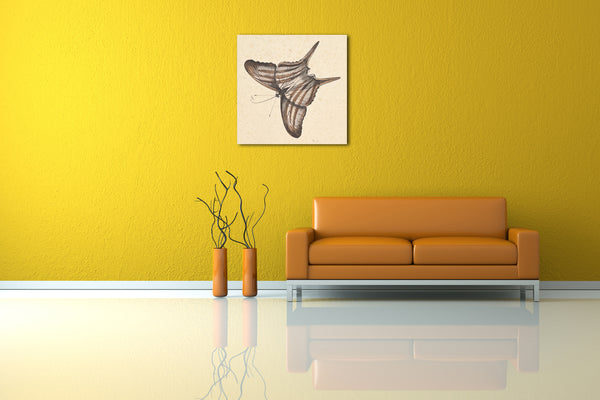 Leinwandbild Nicolaas Struk - Ein Schmetterling