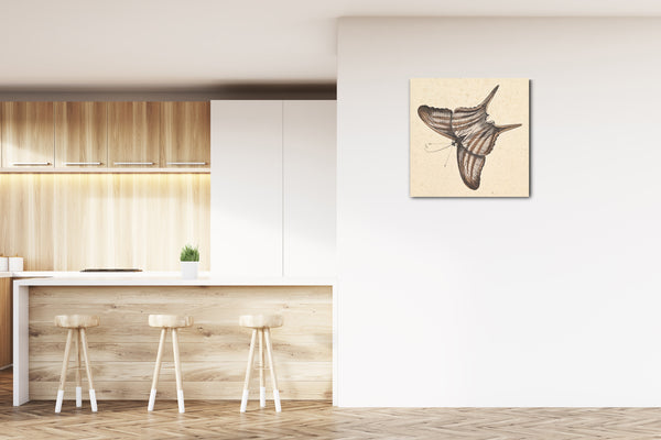 Leinwandbild Nicolaas Struk - Ein Schmetterling
