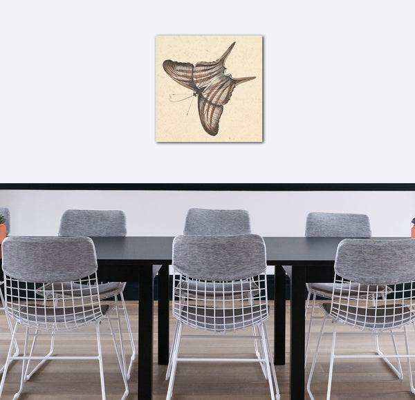 Leinwandbild Nicolaas Struk - Ein Schmetterling