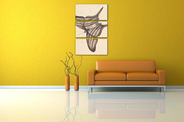 Leinwandbild Nicolaas Struk - Ein Schmetterling