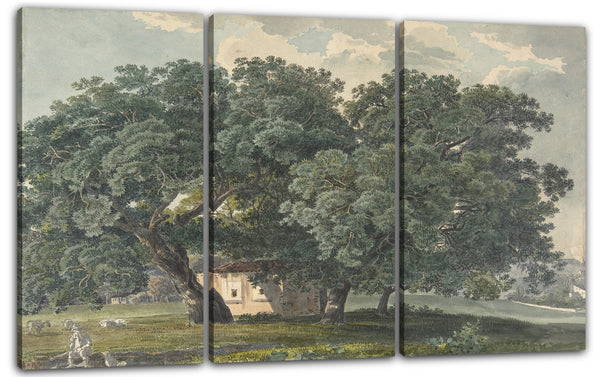Leinwandbild Friedrich Salathé - Italienische Landschaft mit Bäumen (recto)
