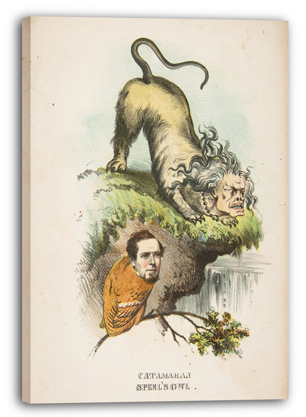 Leinwandbild Henry Louis Stephens - Katamaran und Speel's Owl (Charlotte Cushman und Joseph A. Spell), aus dem Comic "Natural History of the Human Race"