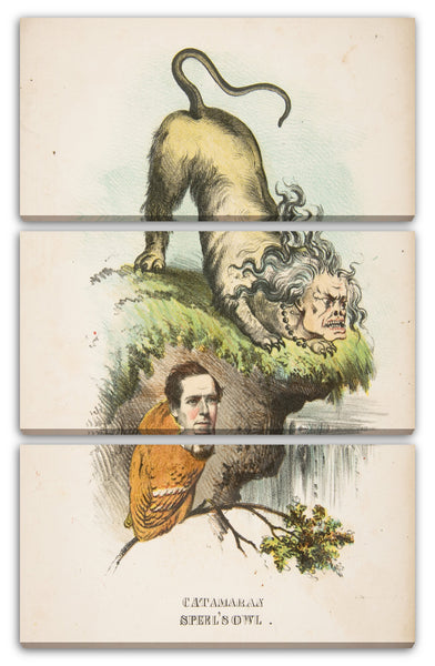 Leinwandbild Henry Louis Stephens - Katamaran und Speel's Owl (Charlotte Cushman und Joseph A. Spell), aus dem Comic "Natural History of the Human Race"