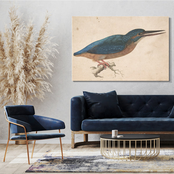 Leinwandbild Jacques Le Moyne de Morgues - Ein Eisvogel auf einer Niederlassung